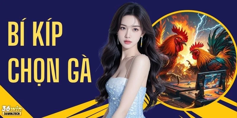 Tổng Hợp Bí Kíp Chọn Gà Chiến Chuẩn Xác Thu Hút 50.000 Sư Kê 7 Tổng Hợp Bí Kíp Chọn Gà Chiến Chuẩn Xác Thu Hút 50.000 Sư Kê