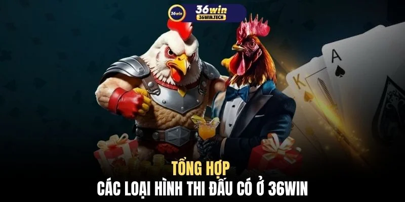 Đá gà 36WIN 2 Tổng hợp các loại hình thi đấu có ở 36WIN